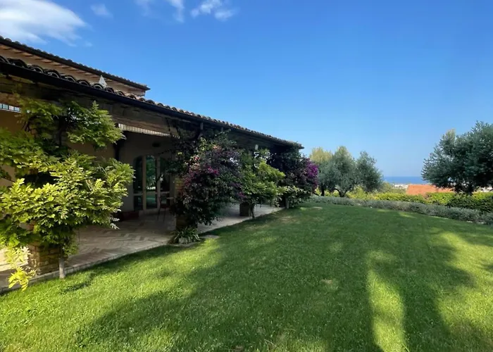La Bouganvillea