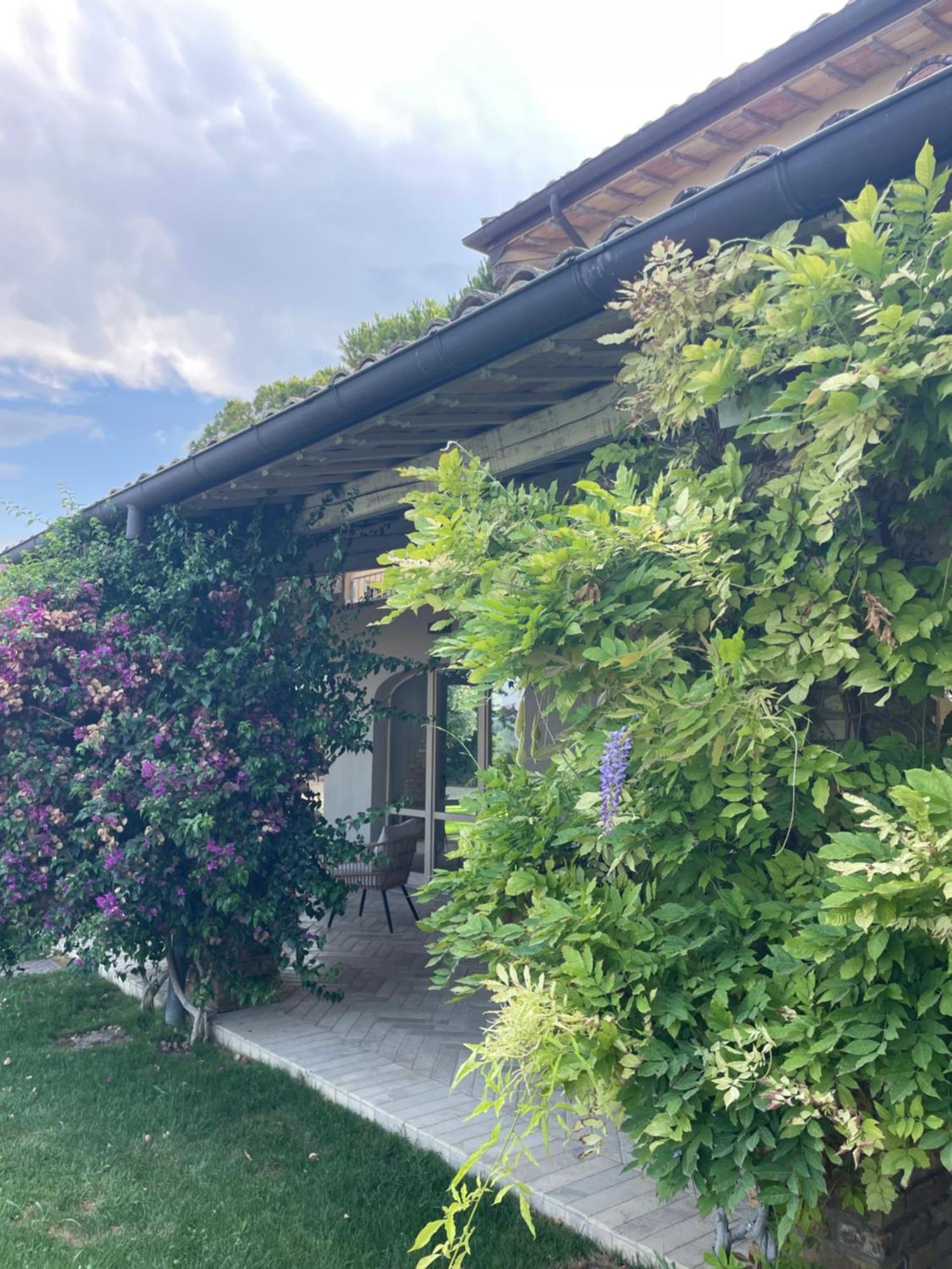 La Bouganvillea *