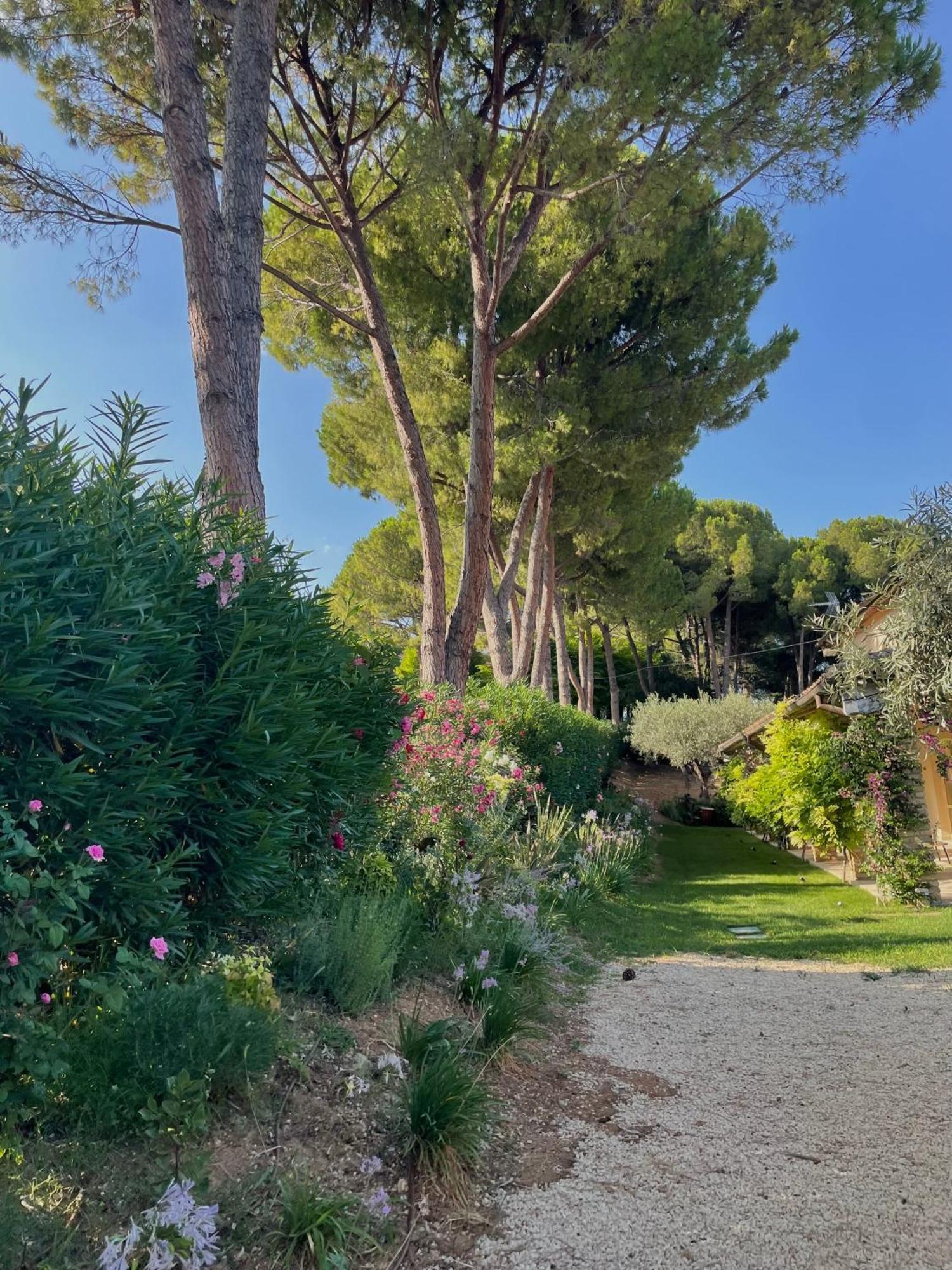 Casa de Férias La Bouganvillea Francavilla Al Mare
