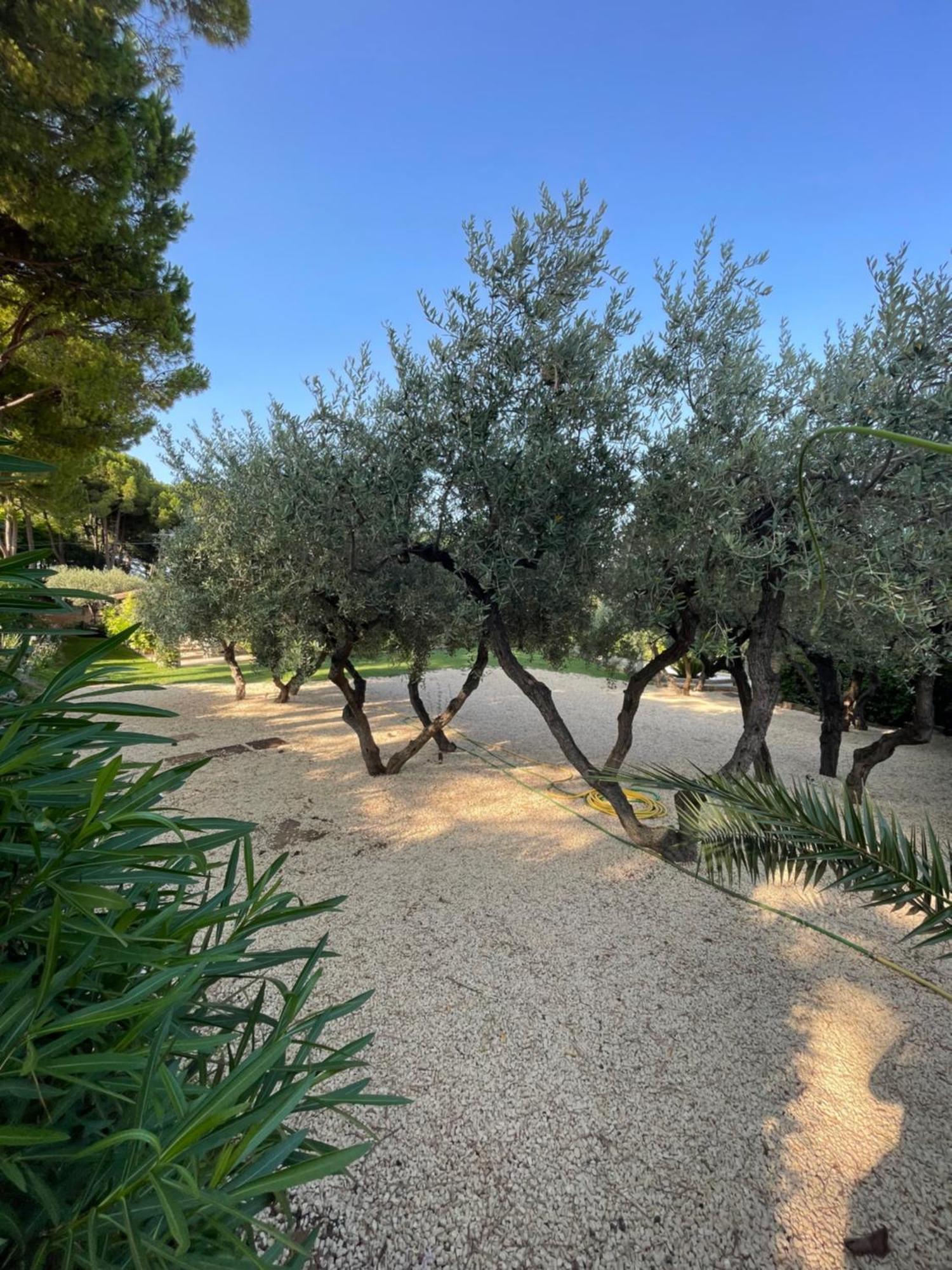 La Bouganvillea Francavilla Al Mare